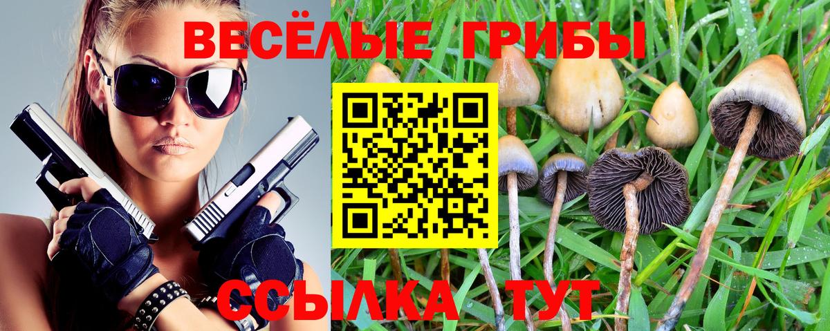 Галлюциногенные грибы мицелий Сокол