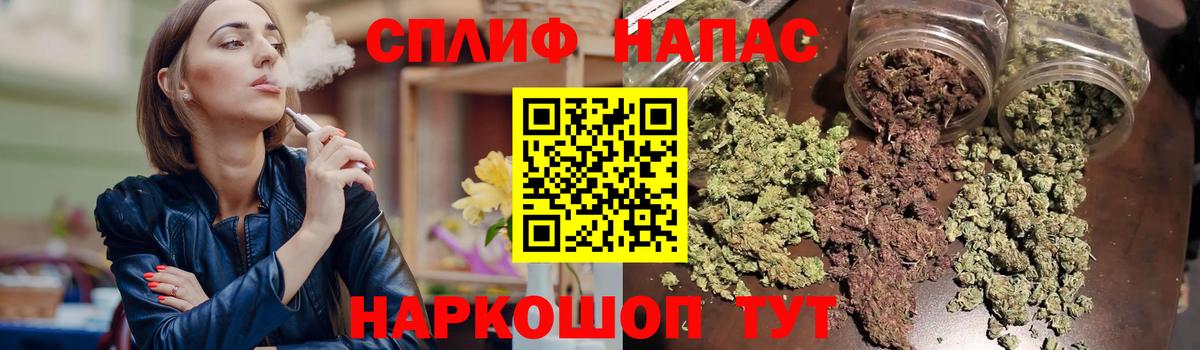 Канабис семена Сокол